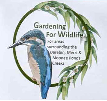 Gardening for wildlife brochure cover